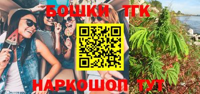 индика Кандалакша