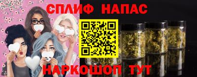 индика Кандалакша