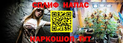 индика Кандалакша