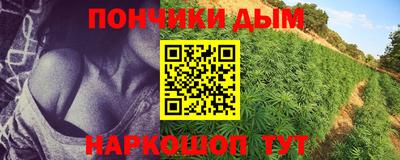 индика Кандалакша