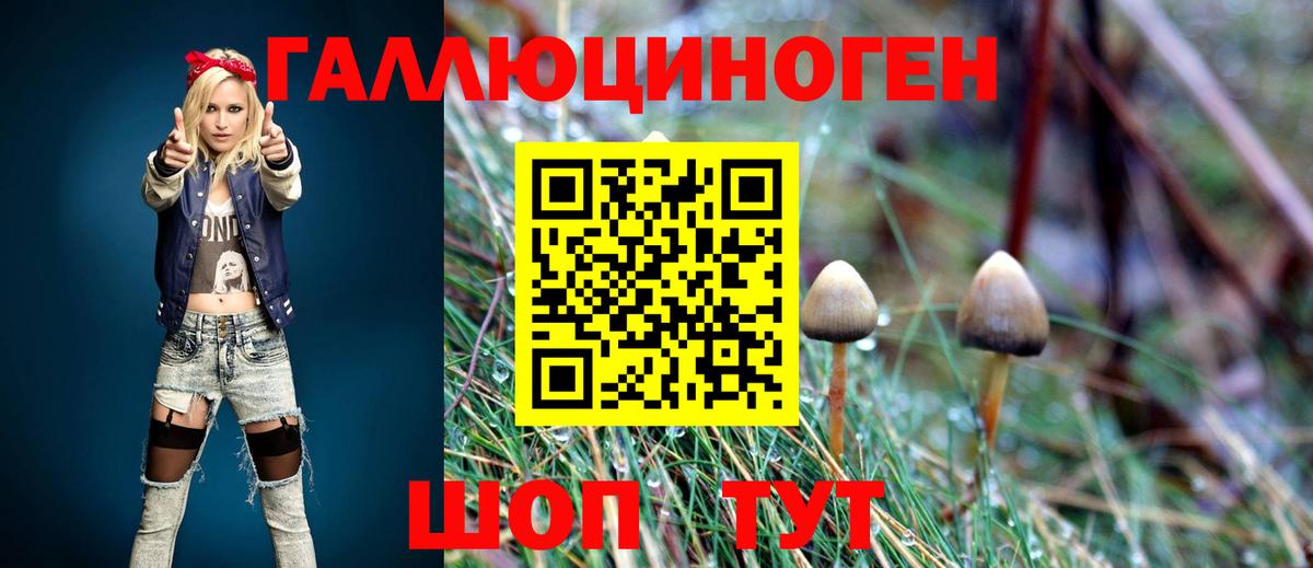 Галлюциногенные грибы ЛСД  Вход с VPN  Лесозаводск 